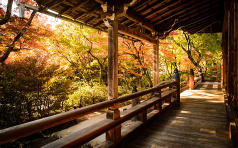 Image result for Kyoto Windows Wallpaper