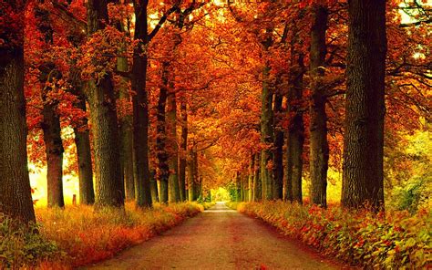 Image result for Fall Seasons