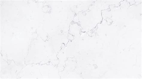 2048 White Background に対する画像結果