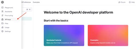 Pandas Ai Openai Code API Key に対する画像結果