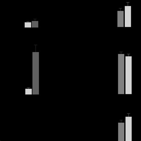 Afbeeldingsresultaten voor Wat Adipose Tissue