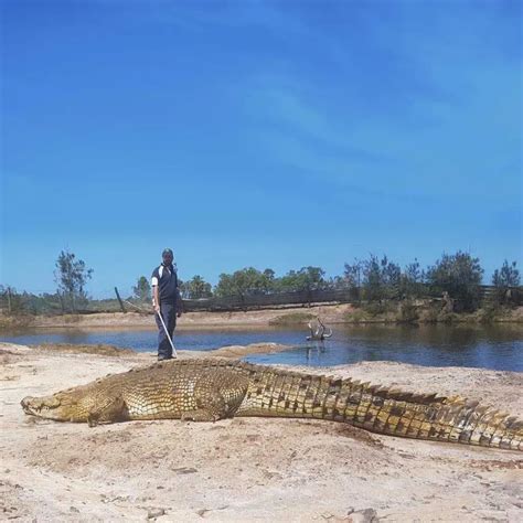 Source Code Lab に対する画像結果