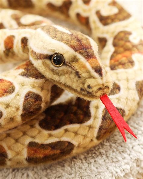 Image result for Python Plush