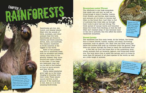 Image result for Best Opening Book Page Design