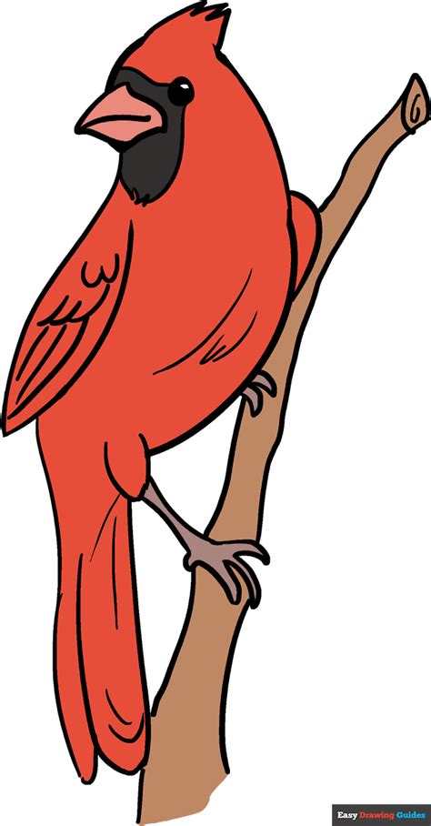 Toradh íomhá ar Cardinal Bird Outline Drawing