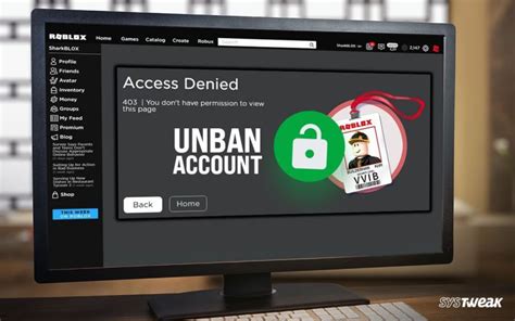 Image result for How to Get Unbanned From a Roblox Game