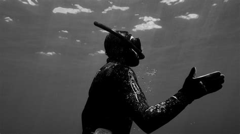 Toradh íomhá ar Stack of 805 Beer Cases