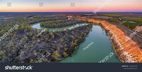 Image result for Murray River Python