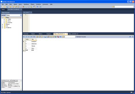 Image result for My Workbench SQL