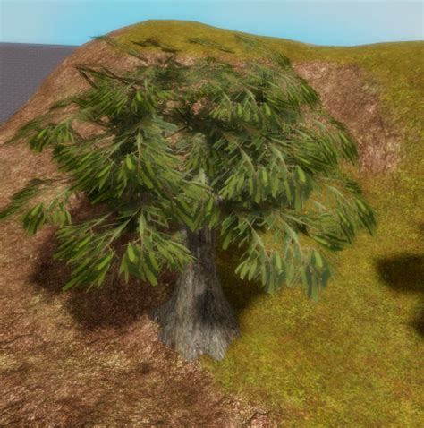 Realistic Tree ID Roblox に対する画像結果