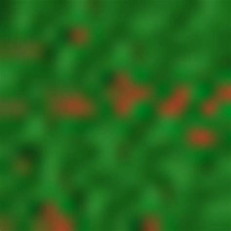 Image result for Realistic Minecraft Grass Block