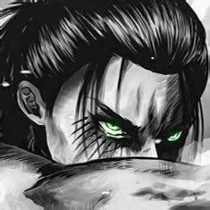 Afbeeldingsresultaten voor Eren Yeager Profile Pic