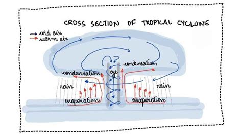 How Do Cyclones Begin に対する画像結果