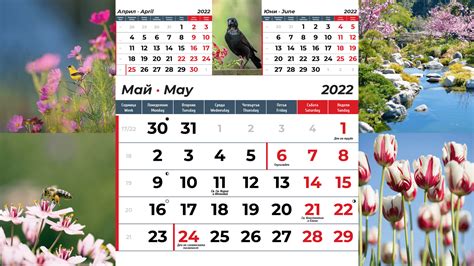 Image result for Digital Calendar 2022