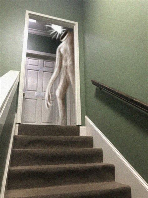 Image result for Light Lurker