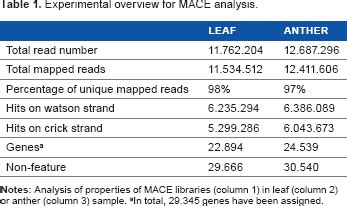 Image result for Mace Machine Learning Potential