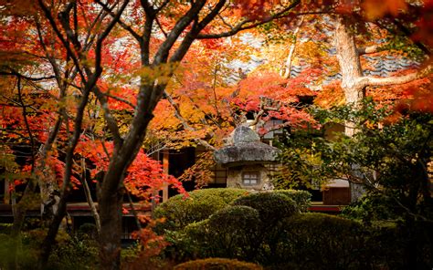 Image result for Kyoto Windows Wallpaper