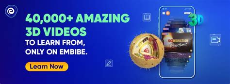 Toradh íomhá ar Data Representation Examples