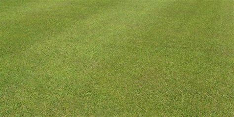 Grass Material 3DS Max に対する画像結果