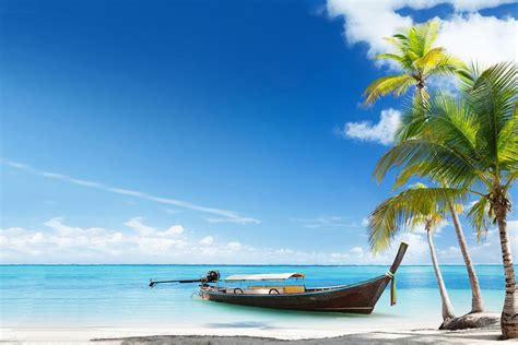 Image result for Insula Bali