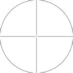 Image result for Vortex V-Plex Reticle