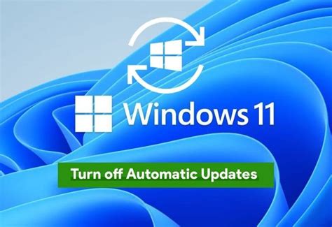 Image result for Eliminating Windows 11 Update