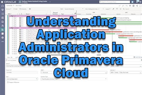 Toradh íomhá ar Application of Primavera P6