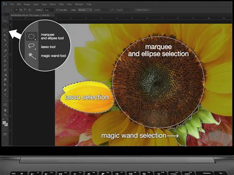 Image result for Can You Edit Images