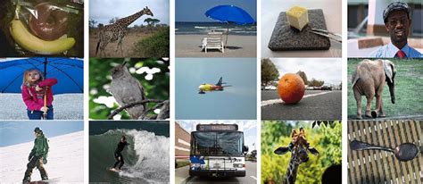 Image result for Coco Dataset Data Preprocessing