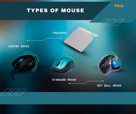 Image result for Different Types of Mouse