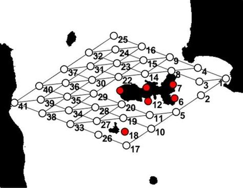 Toradh íomhá ar What Is a Direct Graph