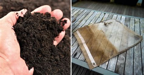 Making Compost Tea に対する画像結果