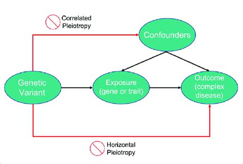 Image result for Mendelian Randomization Studies