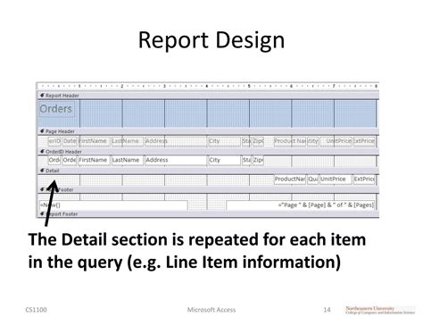 Image result for Professional Access Reports