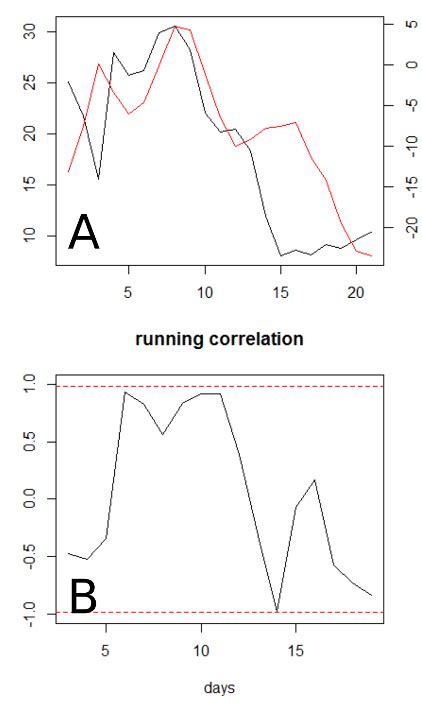 Time Series Cross-Correlation에 대한 이미지 결과