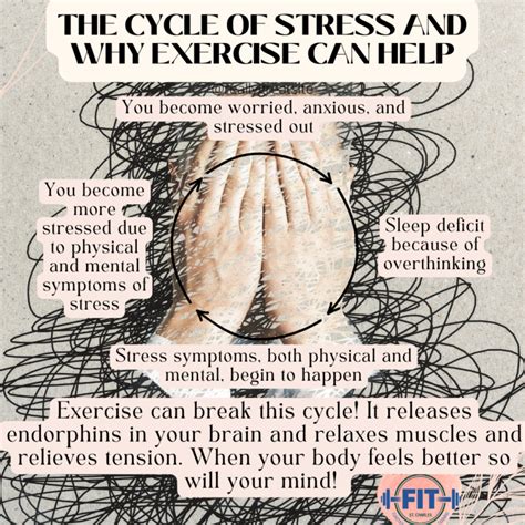 Image result for Exercise Silhostress Management