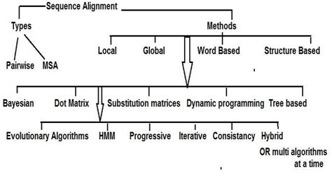 Image result for Multiple Sequence Alignment Flow Chart