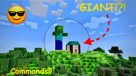 Image result for Internal Command for Minecraft Java