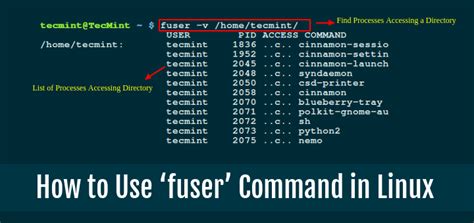 Image result for Free Memory Linux Command