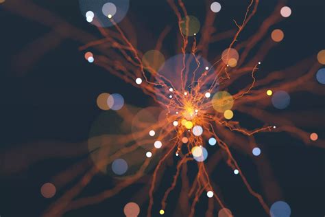 Image result for Pentalabo Log