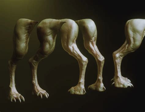 Image result for Creature Legs Reference 3D Model