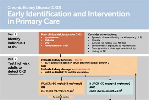 Image result for CKD Algorithm UK