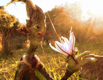 Toothpick Brands に対する画像結果