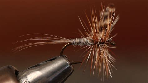 Toradh íomhá ar Dragonfly Patterns Fly Tying
