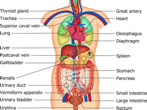 Afbeeldingsresultaten voor Baby Crochet Patterns