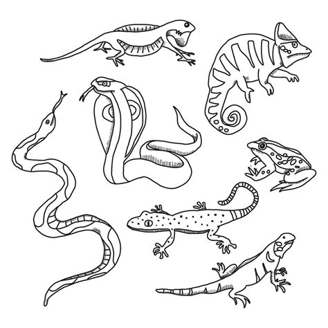 Image result for 3 Reptiles Animal Drawing