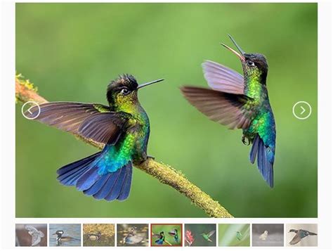 Action Button HTML에 대한 이미지 결과