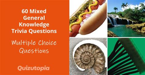 Image result for Adult Q&A Questions