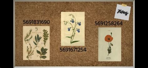 Image result for Decal Codes Roblox Free