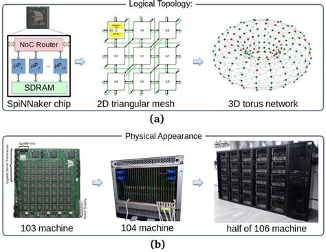 Spinnaker Spiking Neural Network に対する画像結果